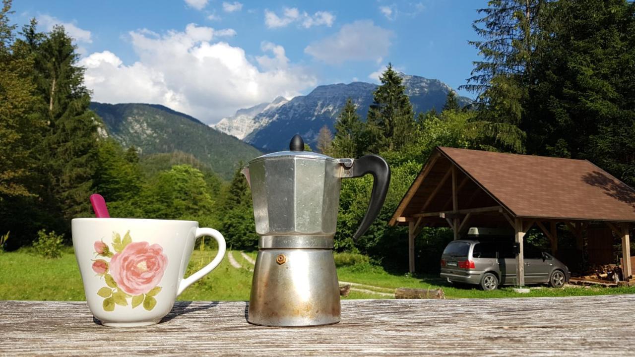 Bovec Home At Three Samoyeds Soča Eksteriør billede