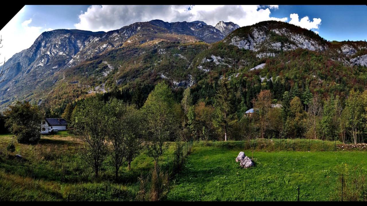 Bovec Home At Three Samoyeds Soča Eksteriør billede