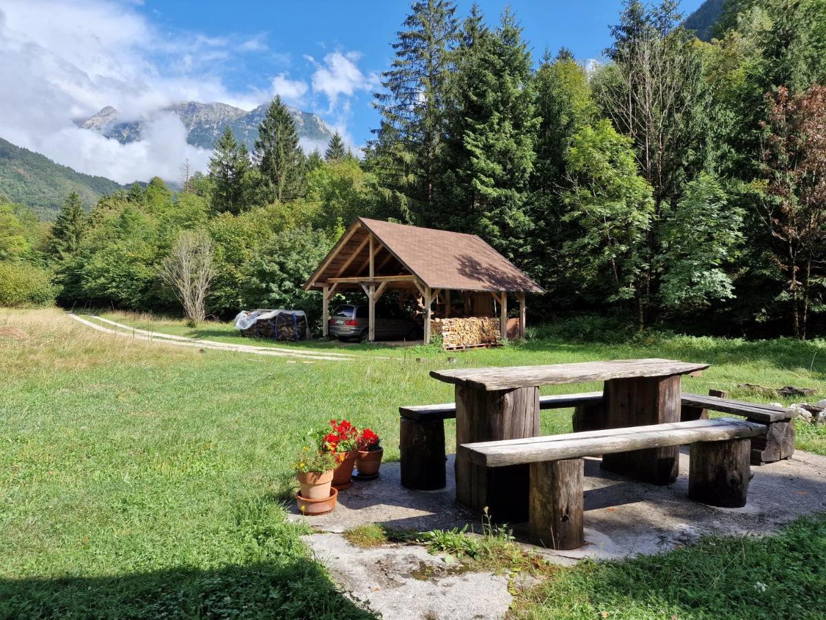 Bovec Home At Three Samoyeds Soča Eksteriør billede