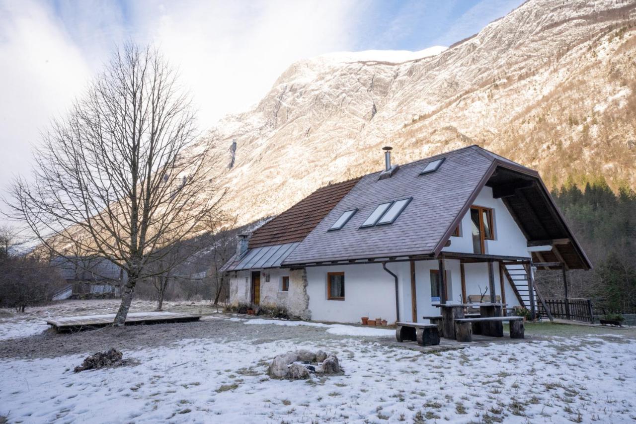 Bovec Home At Three Samoyeds Soča Eksteriør billede