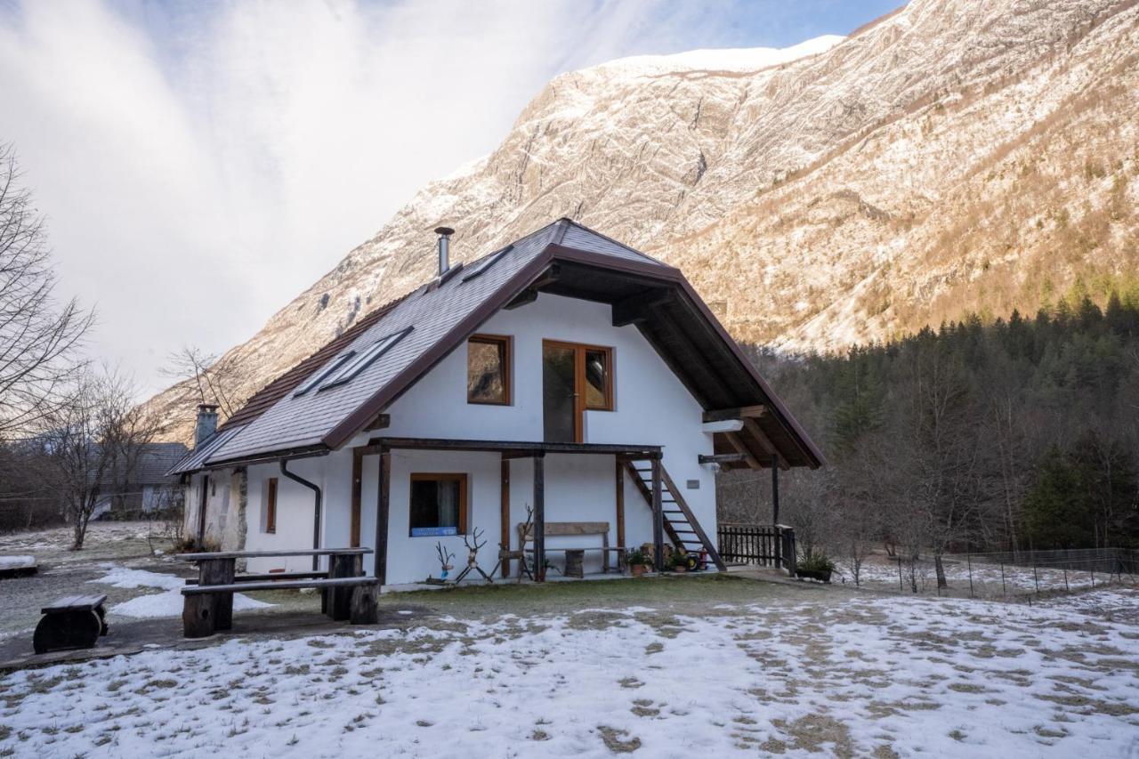 Bovec Home At Three Samoyeds Soča Eksteriør billede