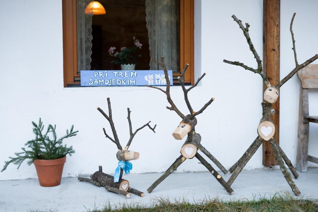 Bovec Home At Three Samoyeds Soča Eksteriør billede