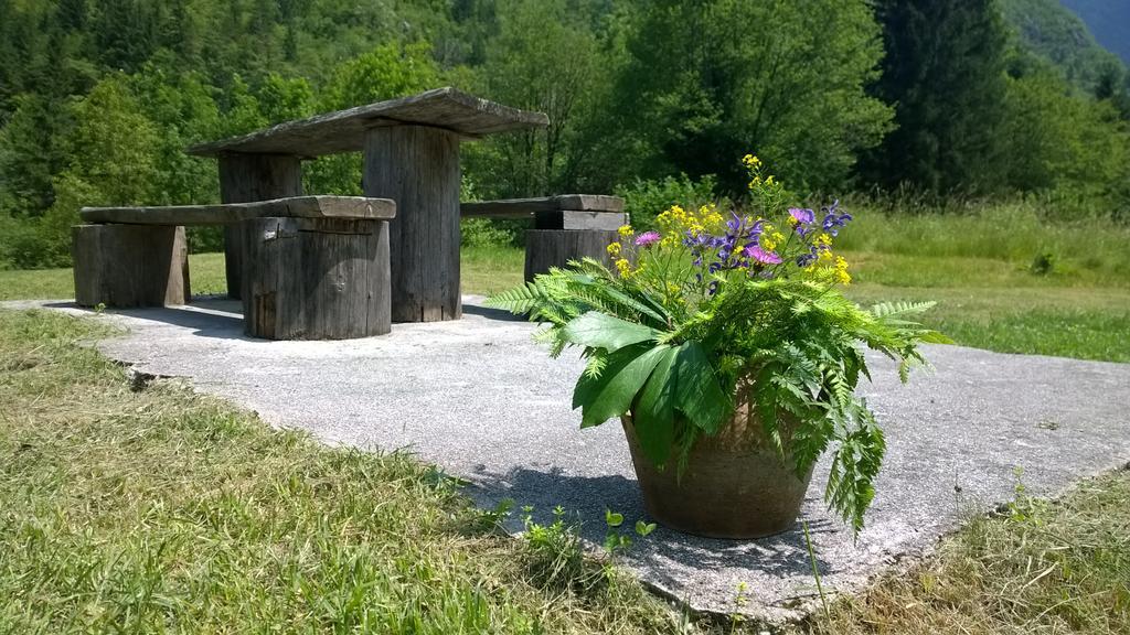 Bovec Home At Three Samoyeds Soča Eksteriør billede