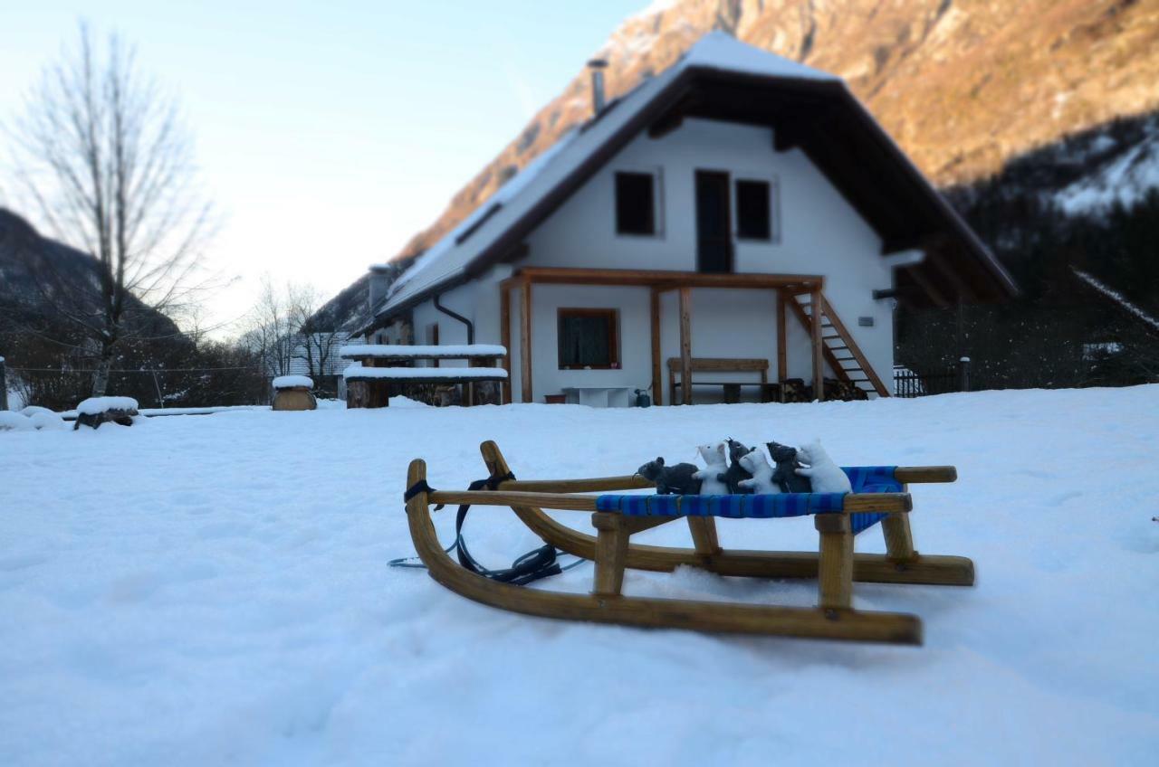 Bovec Home At Three Samoyeds Soča Eksteriør billede