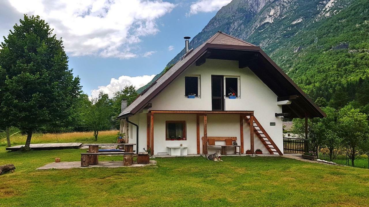 Bovec Home At Three Samoyeds Soča Eksteriør billede